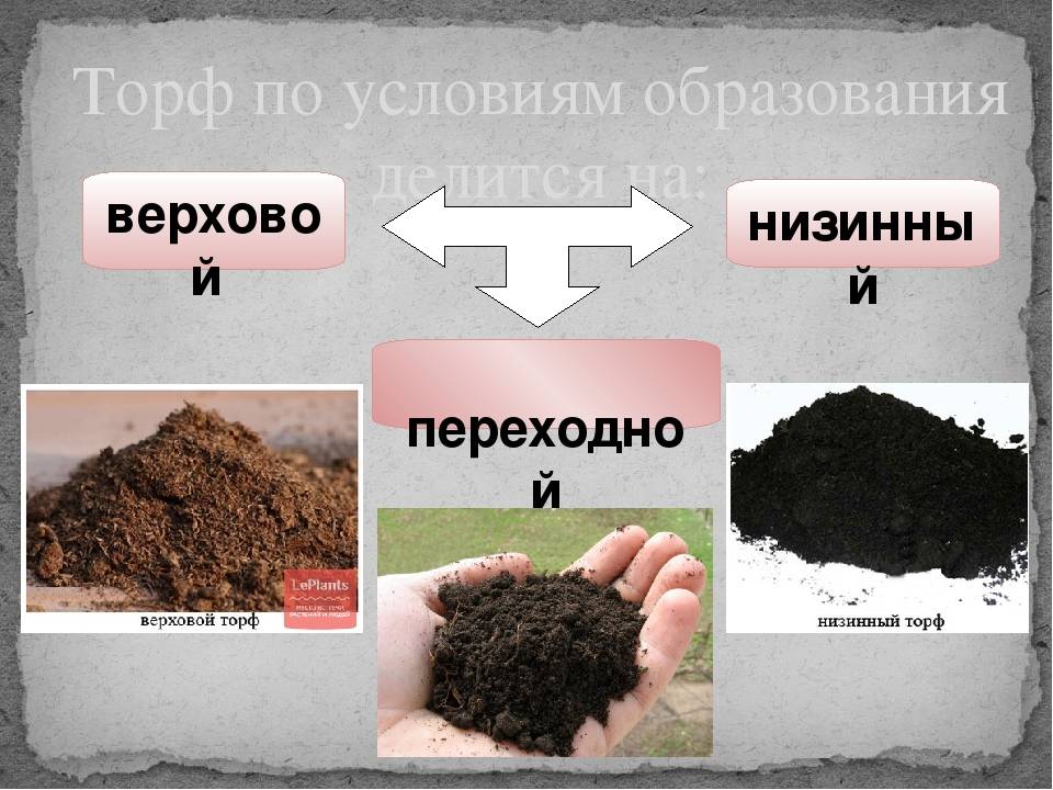 Торф картинки для презентации