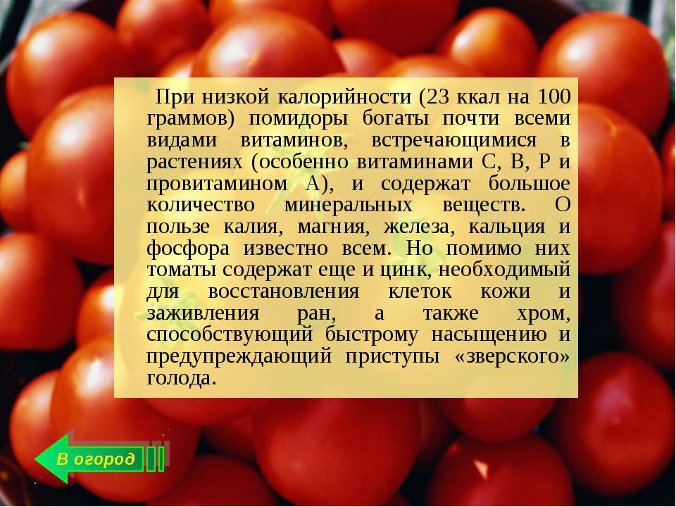 Калорийность помидора свежего на 100 грамм