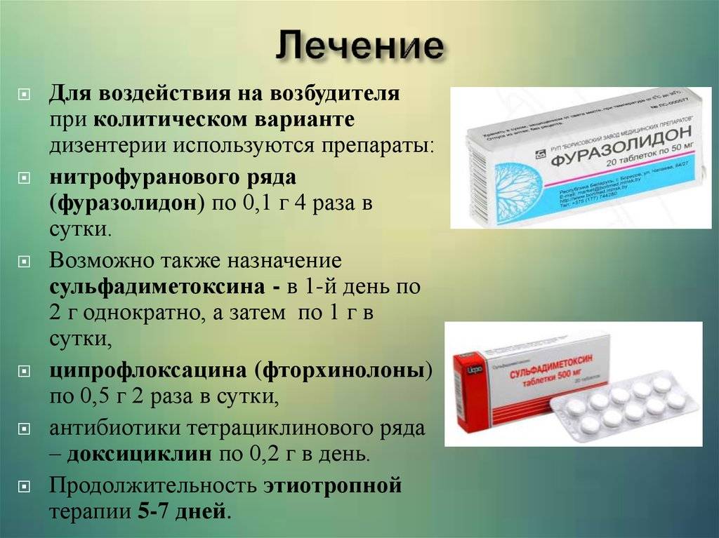 Лечение дизентерии у свиней