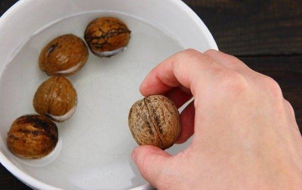 Как расколоть грецкий орех, не повредив ядро: приспособления и способы добычи лакомства