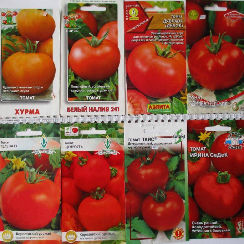 Характеристика сорта томатов Таис