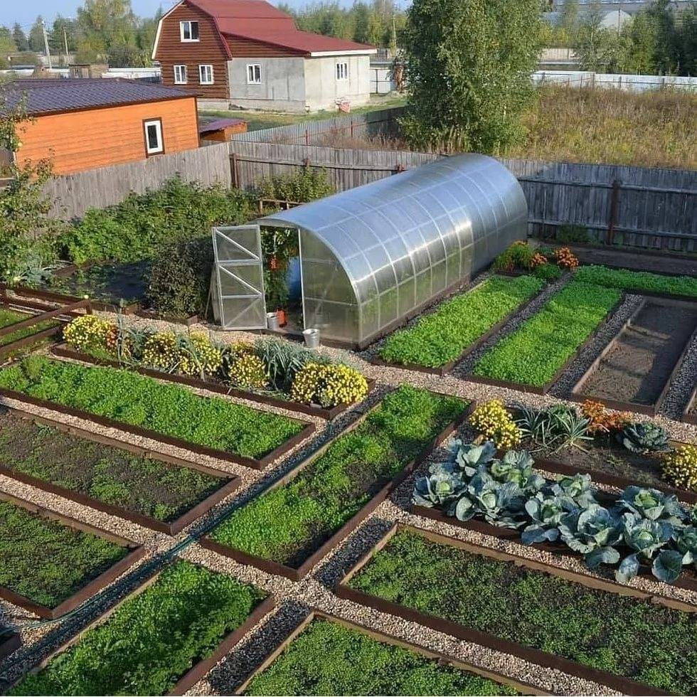 Принципы планировки дачного участка (75+ фото идей) +отзывы