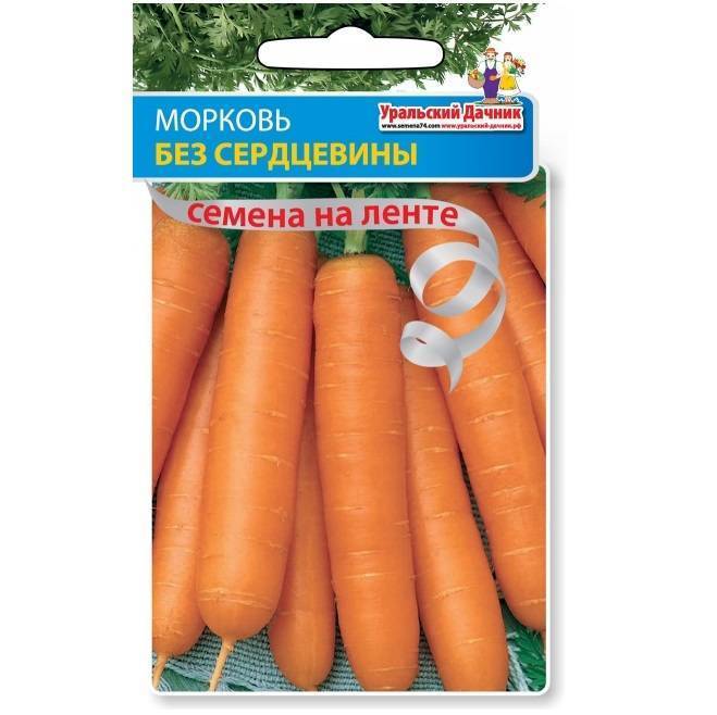 Сорта моркови: классификация, описание