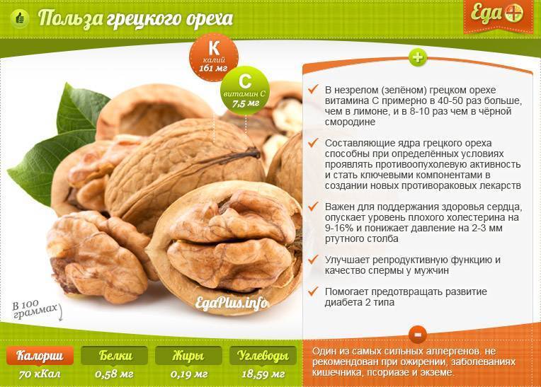 Отравление орехами - что делать? фитомуцил сорбент форте