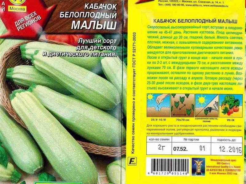 Кабачок сангрум f1: характеристика и описание сорта, выращивание с фото