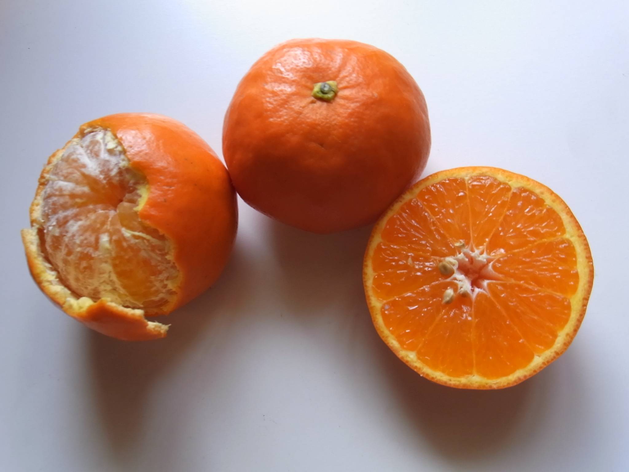 Особенности комнатного выращивания мандарина, лимона, каламондина и кумквата