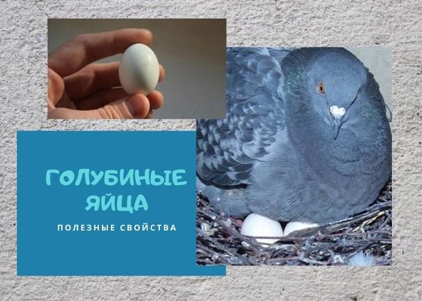 Полезно ли есть несколько раз в день небольшими порциями?