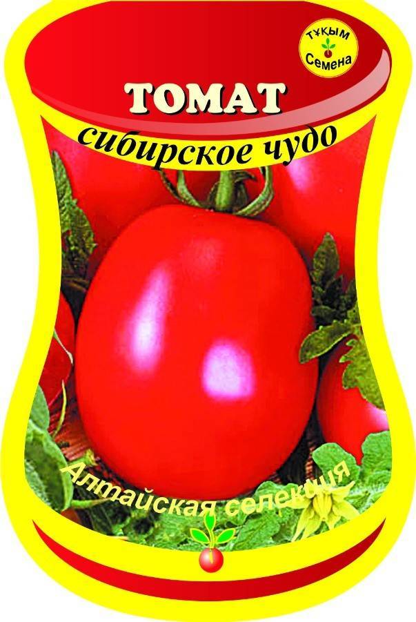 Характеристика и описание сорта томата сибирское чудо, его урожайность – дачные дела