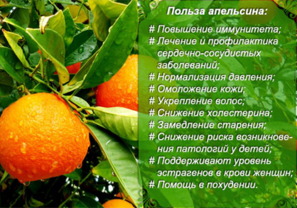 Красные апельсины — польза и вред для здоровья