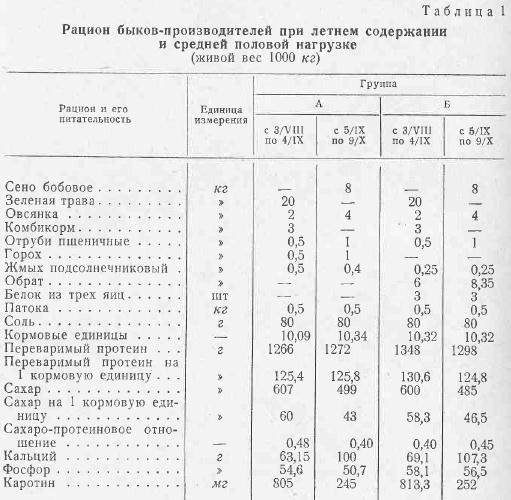 Бык осеменитель (производитель): породы, кормление и уход