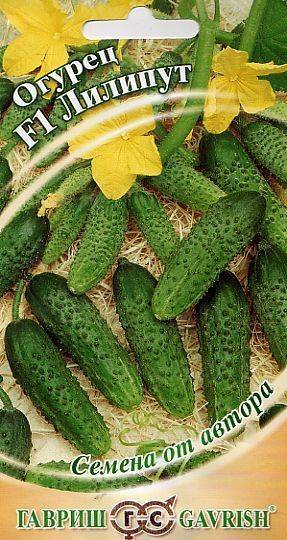 Огурцы лилипут f1: отзывы, фото, урожайность, особенности выращивания