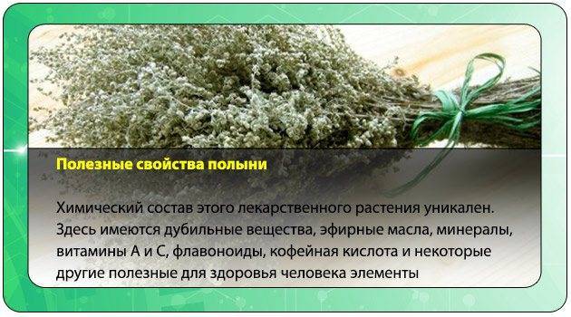 Полынь – лечебные свойства, состав, рецепты и лечение полынью