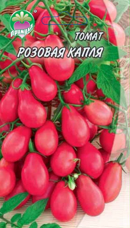 Среднеспелый сорт с приятным вкусом и мощными кустами — томат «капия розовая»