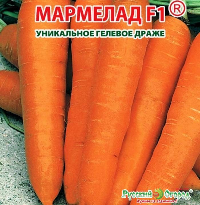 Морковь поздняя сладкая f1 описание