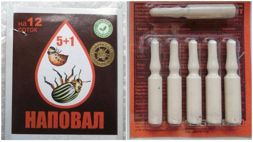 «корадо», препарат для борьбы с колорадским жуком и тлей — описание, инструкция по применению, отзывы — официальный сайт производителя