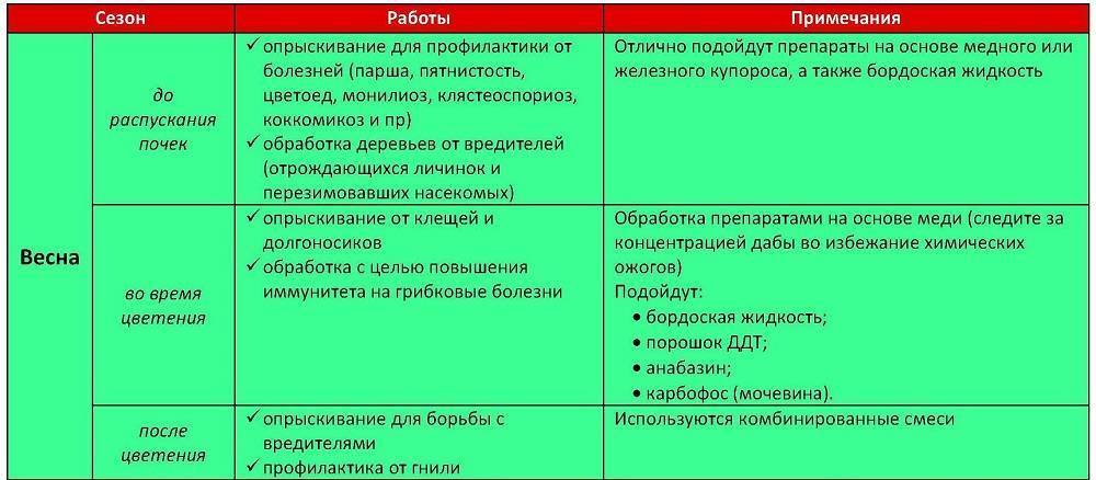 Чем обрызгать деревья до распускания почек