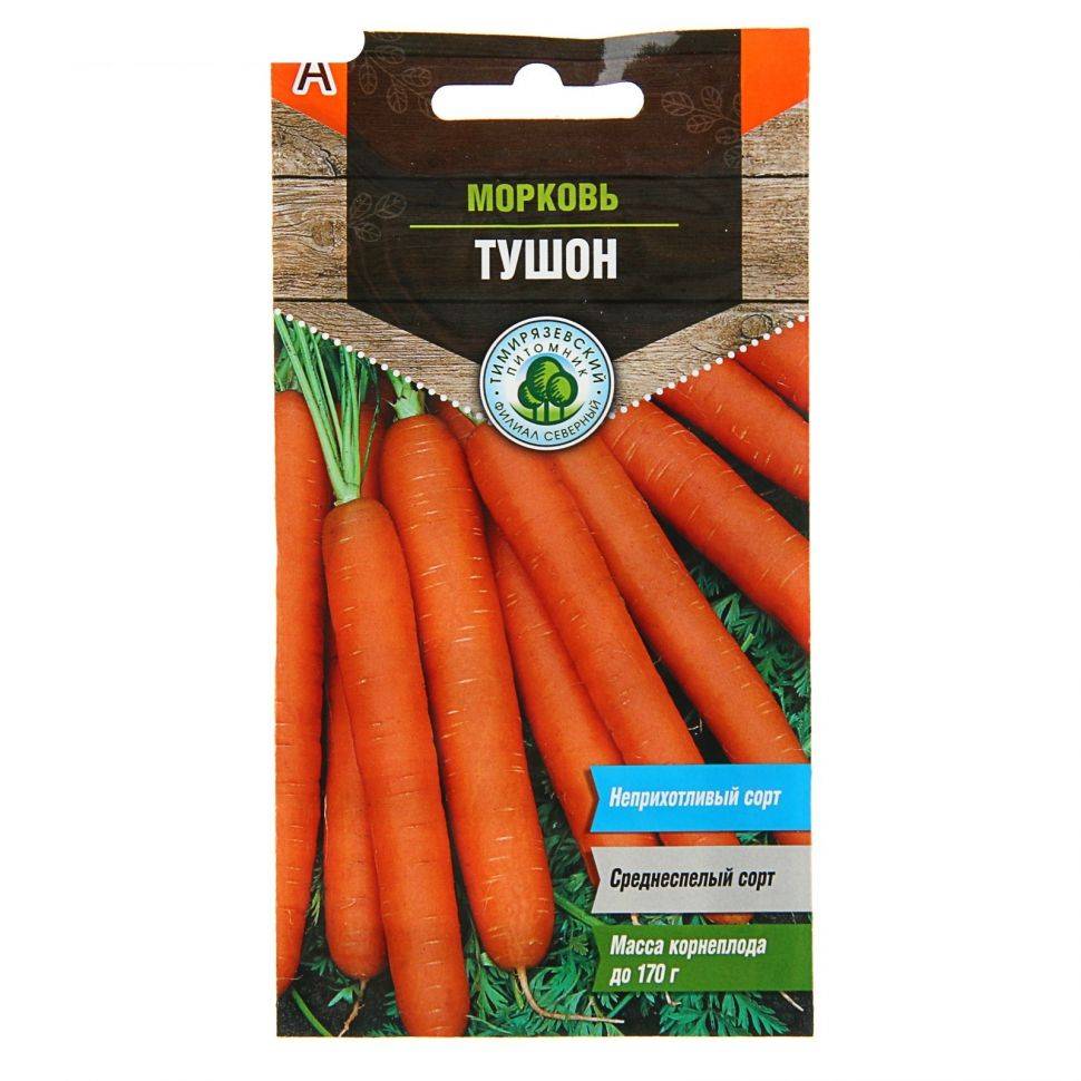 Описание сорта моркови тушон