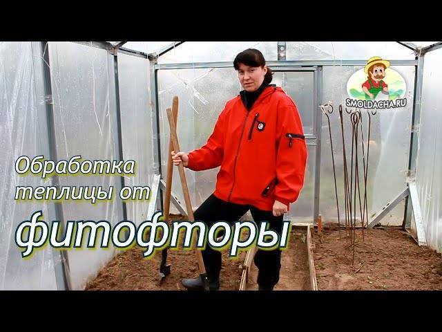 Обработка земли от фитофторы осенью в теплице и открытом грунте