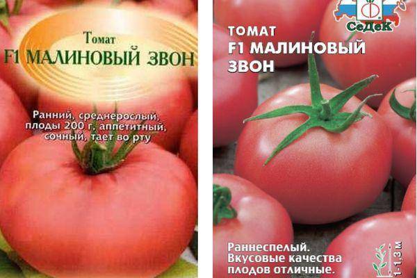 Описание томата малиновый звон и особенности выращивания сорта