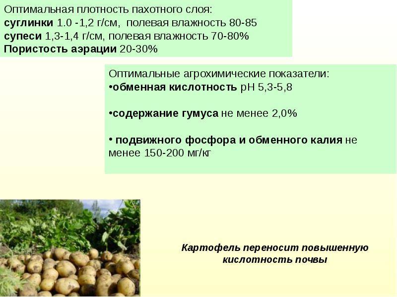 Голландская технология выращивания картофеля технологическая карта