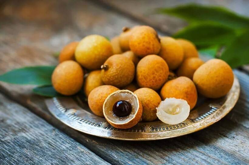 Экзотический фрукт лонган: полезное содержание и невероятный вкус