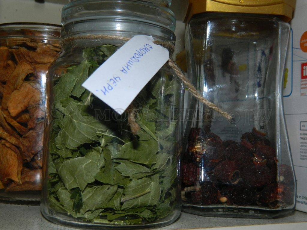 Как заварить чай из листьев малины. сбор, сушка, приготовление