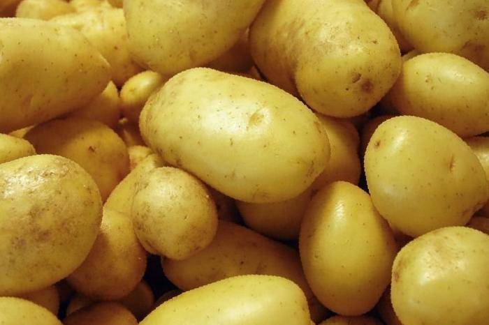 Сорт картофеля королева анна фото