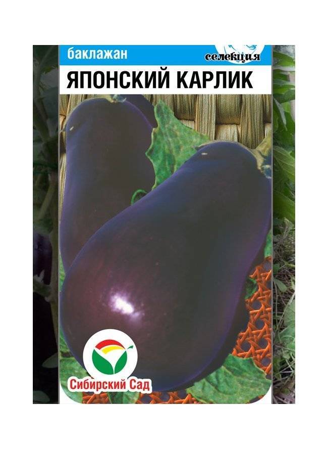 Баклажан японский карлик — описание сорта, отзывы и характеристика