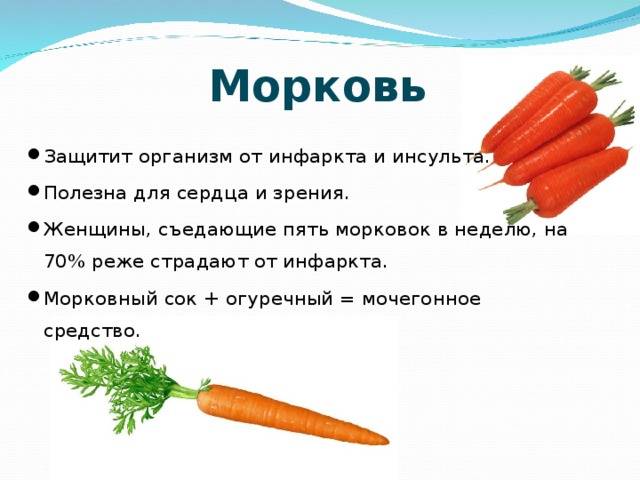 Полезна ли морковь для зрения