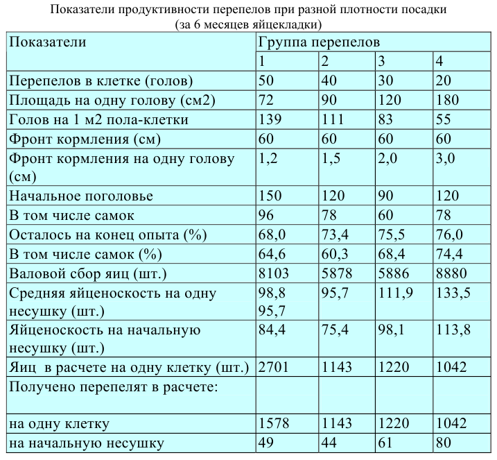 Бизнес план на разведение перепелов