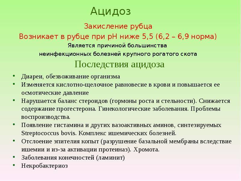 Ветеринария крс | кетоз, ацидоз, ожирение печени - профилактика и лечение