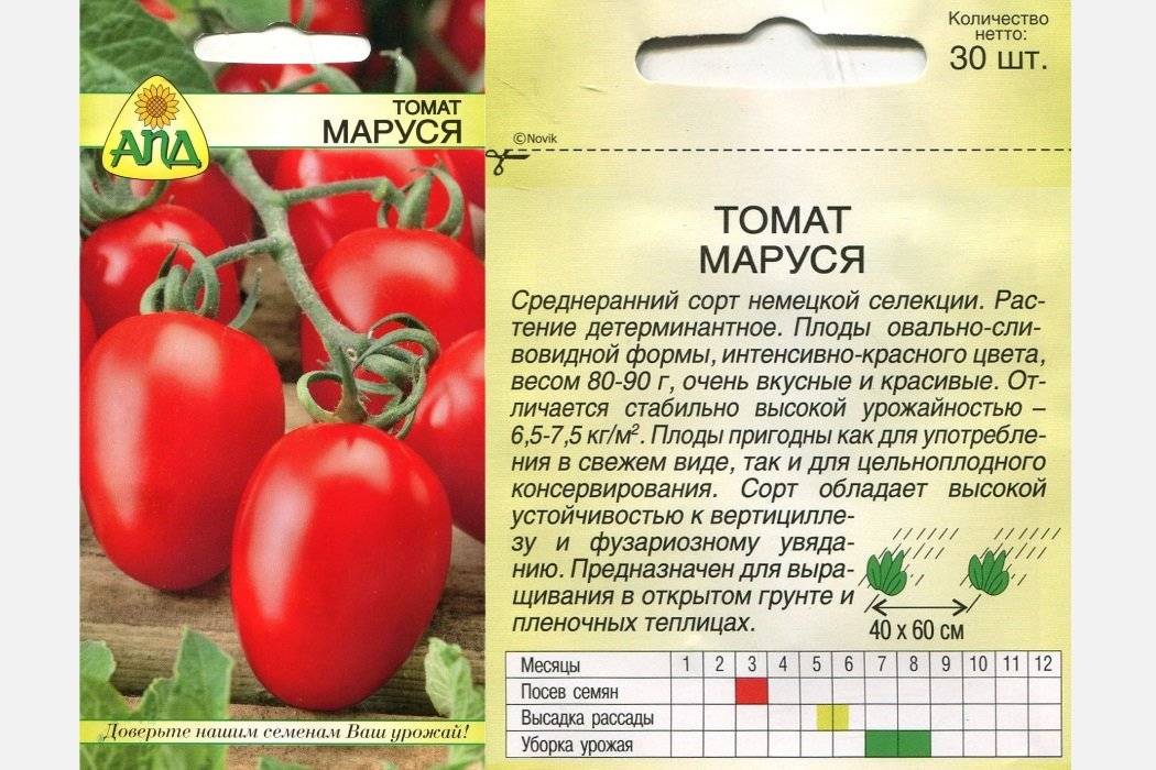 Томат маруся