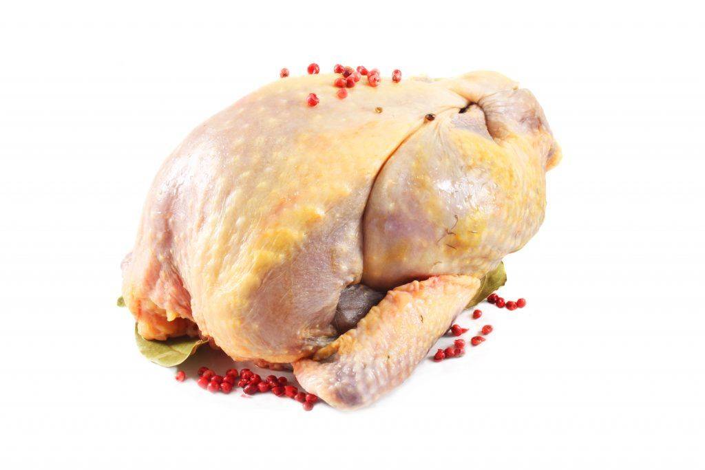 Цесарка: рецепты приготовления деликатесной птицы в духовке в рукаве