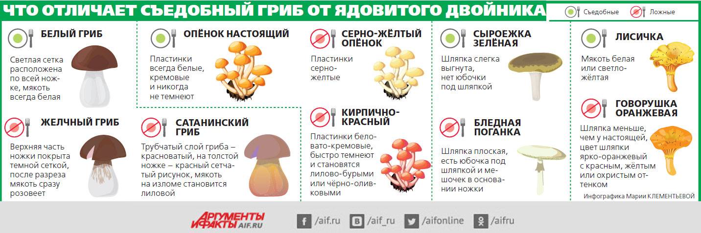 Молочница у беременных: симптомы и лечение на разных сроках