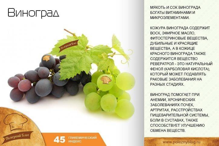Виноград изабелла - описание сорта, чем полезен, посадка и уход