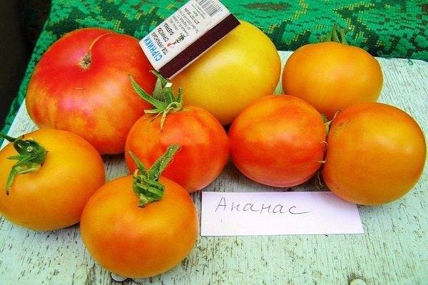 Томат черный ананас описание сорта фото отзывы