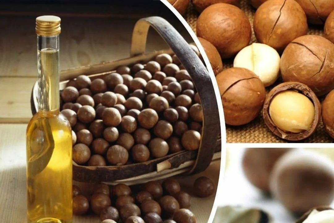 Вкус ореха макадамии