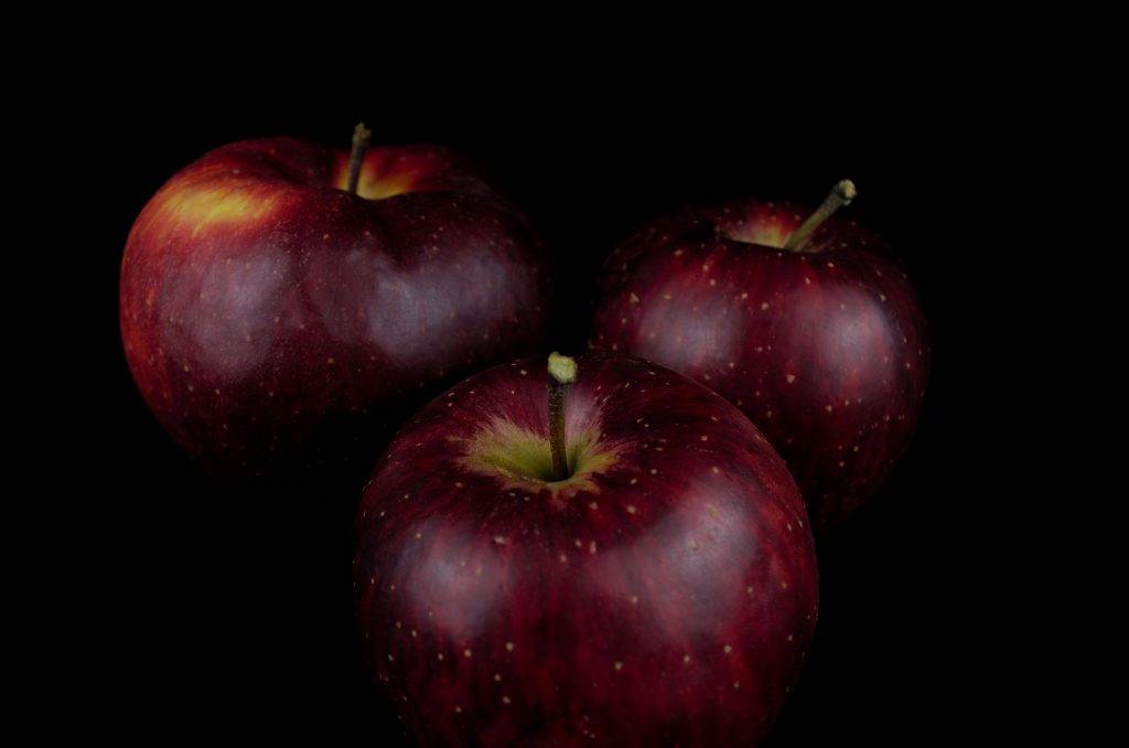 Описание сорта яблони черный принц: фото яблок, важные характеристики, урожайность с дерева