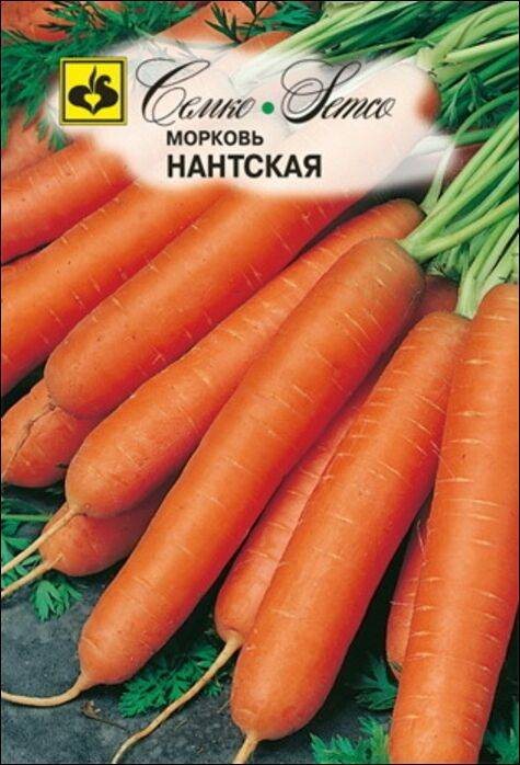 Какие семена моркови выбрать для открытого грунта: лучшие сорта с описанием + отзывы