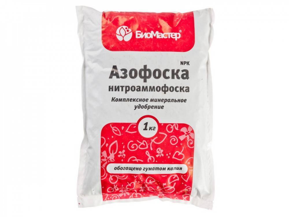 Что такое нитроаммофоска и азофоска, в чем у них отличия, когда и где применять