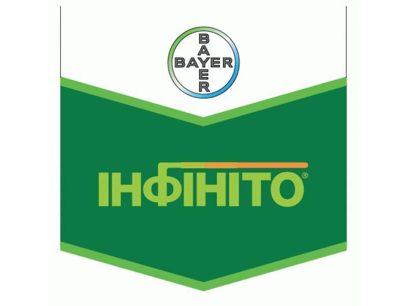 Фунгицид инфинито: инструкция по применению, механизм действия, нормы расхода