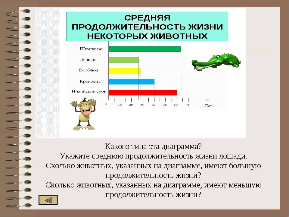 Сколько живут лошади в диких и домашних условиях: что влияет, как определить - omvesti.com