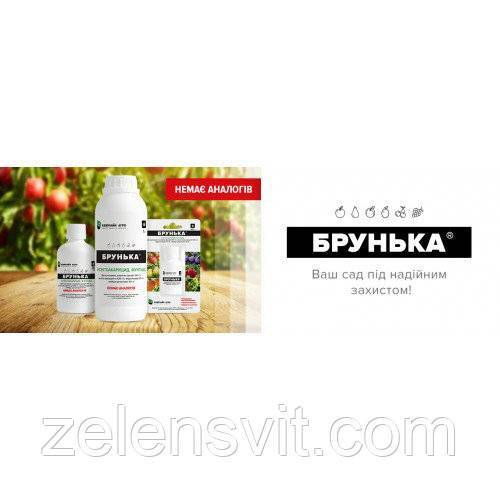 Препарат «брунька» — инструкция по применению фунгицида