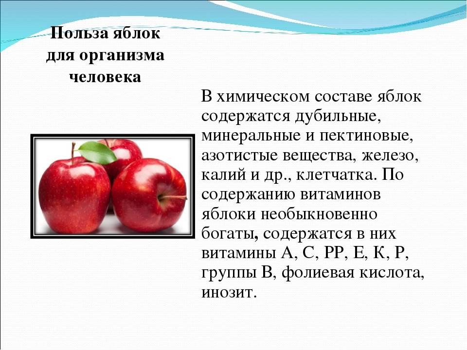 Полезные свойства сушеных яблок для здоровья