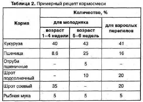 Основы кормления перепелов для начинающих