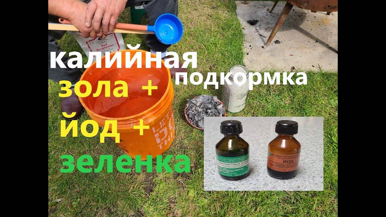 Продукты питания богатые йодом