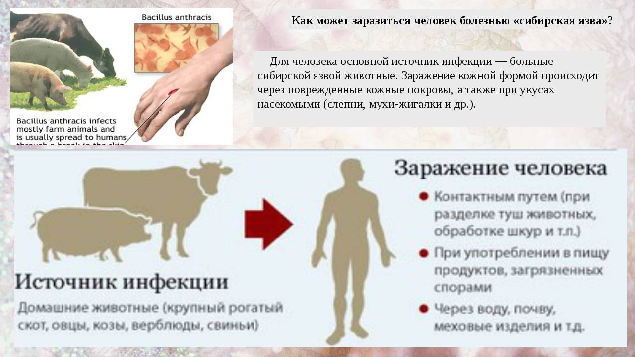 Язвенная болезнь желудка: причины заболевания, методы лечения и профилактики