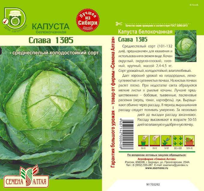 Капуста слава: проверено временем