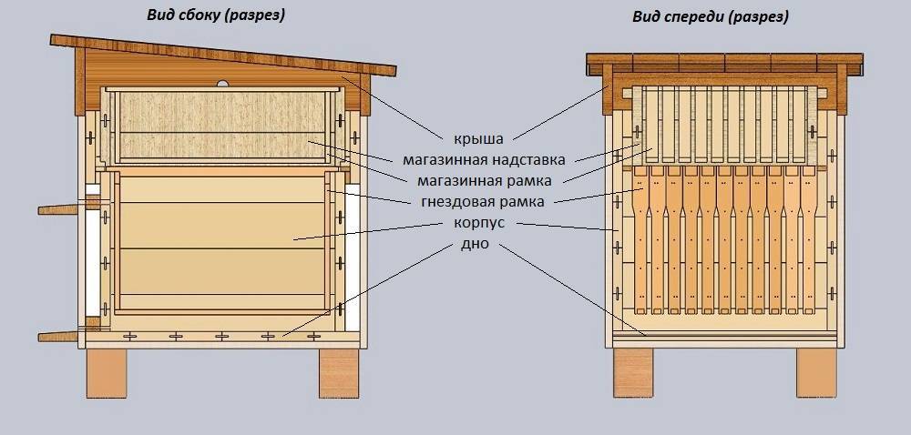 Сделать улей для пчел своими руками чертежи и размеры