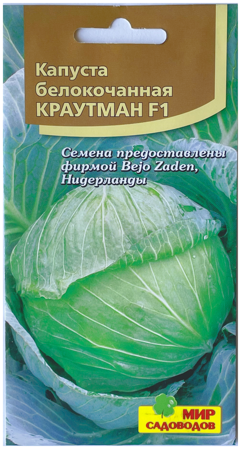 Белокочанная капуста краутман f1: описание, отзывы и фото урожайного гибрида